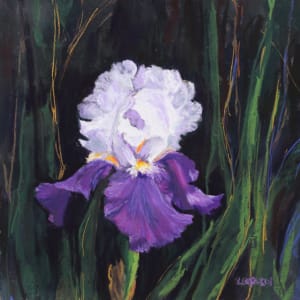 Purple and White Iris by Renee Leopardi