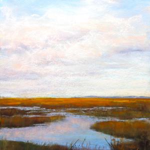 The Marshes by Renee Leopardi