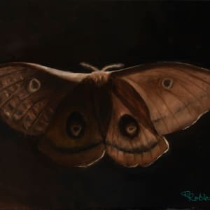 Erik's Moth by Randy Robinson