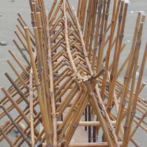 BAMBOO ROCKS   [S.A.] by MARK. 