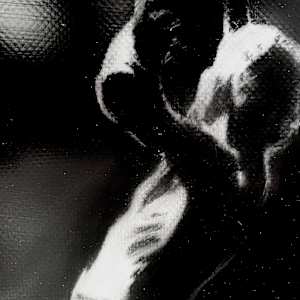 from PROJECT PATH: Dark Light by M A R K    H U E B N E R 