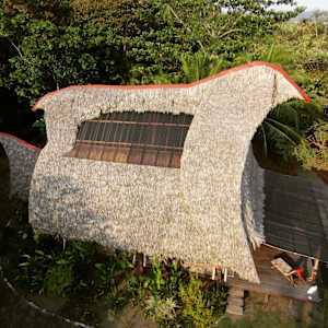 BAMBOO ROCKS   [S.A.] by MARK. 