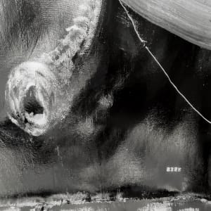 DL - VII. PROJECT PATH: Dark Light by M A R K    H U E B N E R  Image: Detail 