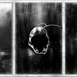 from the PROJECT PATH: MIND EXTINCTION by M A R K    R O C K S  Image: printed version, Inventory Number: LE99