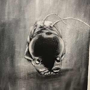 from the PROJECT PATH: MIND EXTINCTION by M A R K    R O C K S 