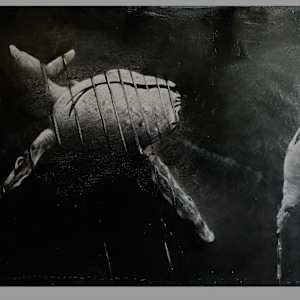 from: PROJECT PATH: MIND EXTINCTION by M A R K    H U E B N E R