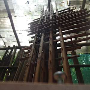 BAMBOO ROCKS   [S.A.] by MARK. 