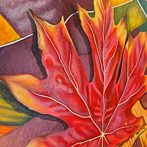 Patchwork Nation by Brandy Saturley, Image 8.