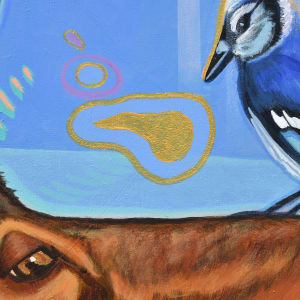Only the Blue Jay Knows by Brandy Saturley 