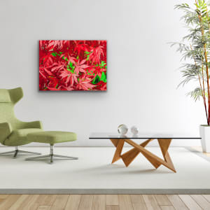 Red Red Maple by Brandy Saturley, Image 3.