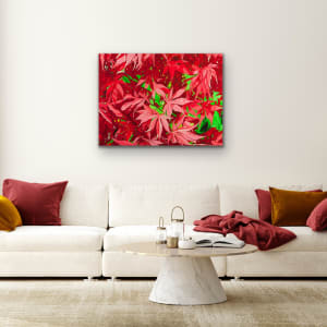 Red Red Maple by Brandy Saturley, Image 4.