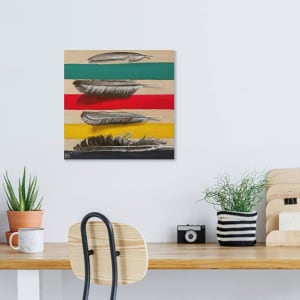 Feathers Over Blanket by Brandy Saturley 