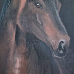 Brown on black by Gillian Northmore