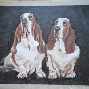 Hush Puppies by Gillian Northmore