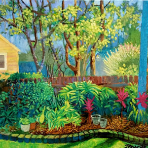 Backyard Garden with Shadows by Joe Roache