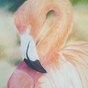 Pink Flamingo by Joe Roache