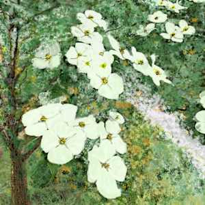Peace Park Dogwoods by Brian Woolford 