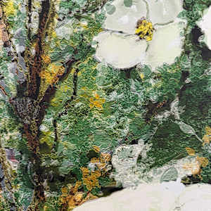 Peace Park Dogwoods by Brian Woolford 
