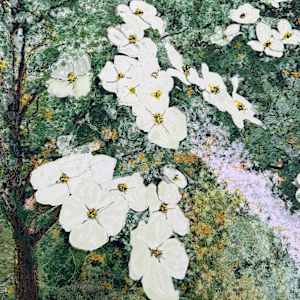 Peace Park Dogwoods by Brian Woolford