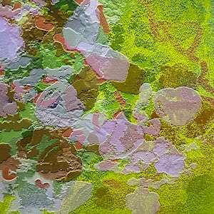 Fukuoka Flowers by Brian Woolford  Image: Crop 3