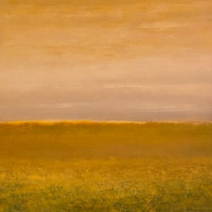 Grasslands AM by Brian Woolford 