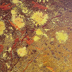 Gold Bouquet by Brian Woolford  Image: Detail