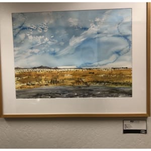 Flash Flood by Mark Reader