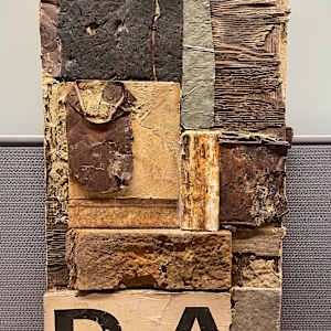 Sonora VIII by James Pile