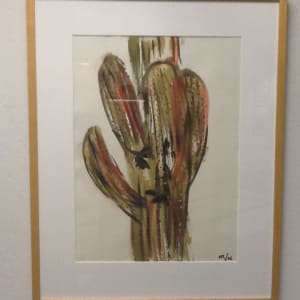 Saguaro by Mark Reader