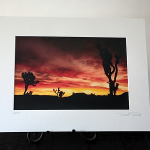 Mojave Desert Sunrise by Mark Peacock  Image: Photograph with matte