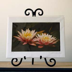 Water Lilies by Mark Peacock  Image: Matted print