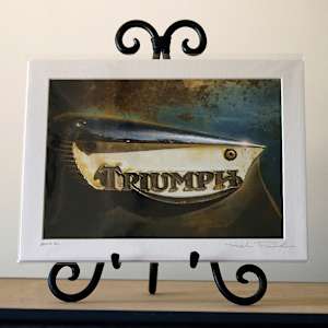 Triumph by Mark Peacock  Image: Matted Print