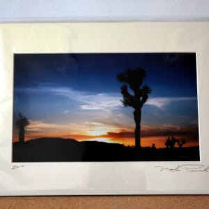 Joshua Tree Sunset by Mark Peacock  Image: Archival photograph with matte