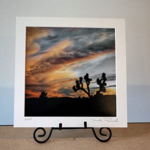 Joshua Tree at Sunset by Mark Peacock  Image: Photograph with matte