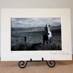 The Paint Horse by Mark Peacock  Image: Archival photo print with matte