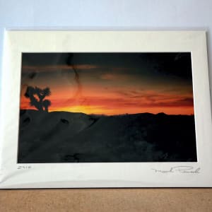 Joshua Tree National Park by Mark Peacock  Image: Archival photograph with matte