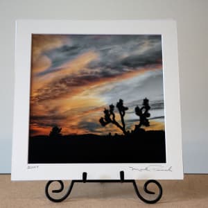 Joshua Tree at Sunset by Mark Peacock  Image: Photo print with matte