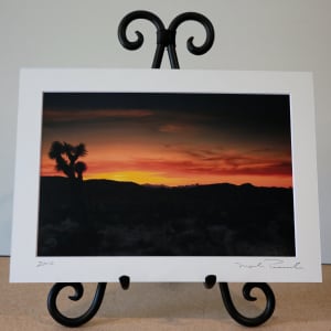 Joshua Tree National Park by Mark Peacock  Image: Archival photo print with matte