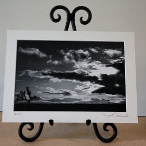 The Mojave Desert by Mark Peacock  Image: Archival photo print with matte