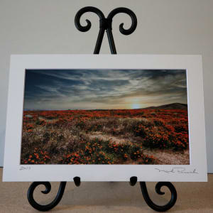 California Poppy Fields by Mark Peacock  Image: Archival photo print with matte