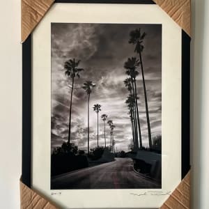 LA Palm Silhouettes by Mark Peacock  Image: Framed archival photo print