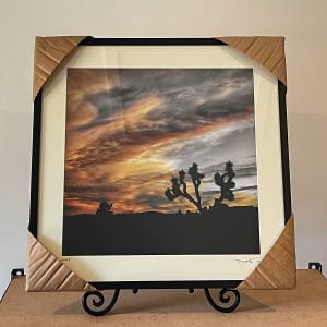 Joshua Tree at Sunset by Mark Peacock  Image: Framed Photograph