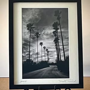 LA Palm Silhouettes by Mark Peacock  Image: Framed archival photo print 