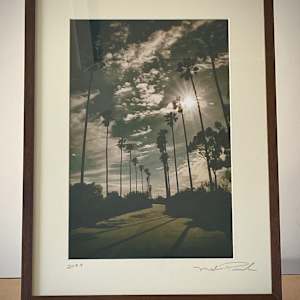 Elysian Park Palms by Mark Peacock  Image: Framed Print