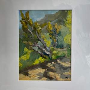 Abiquiu Inn Path by Phyllis A. Gunderson