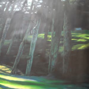 Odd Lights, Image 1.