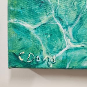 Crystal Clear Waters by Christine Davis  Image:  signature