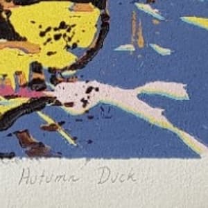 Autumn Duck woodcut by Christine Davis 