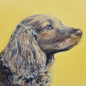 Cocker Spaniel by Christine Davis  Image: Cocker Spaniel detail