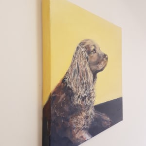 Cocker Spaniel by Christine Davis  Image: Cocker Spaniel edges